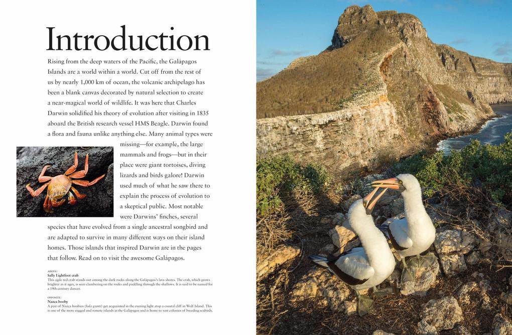 Weitere Ansicht: Galapagos Islands | Tom Jackson