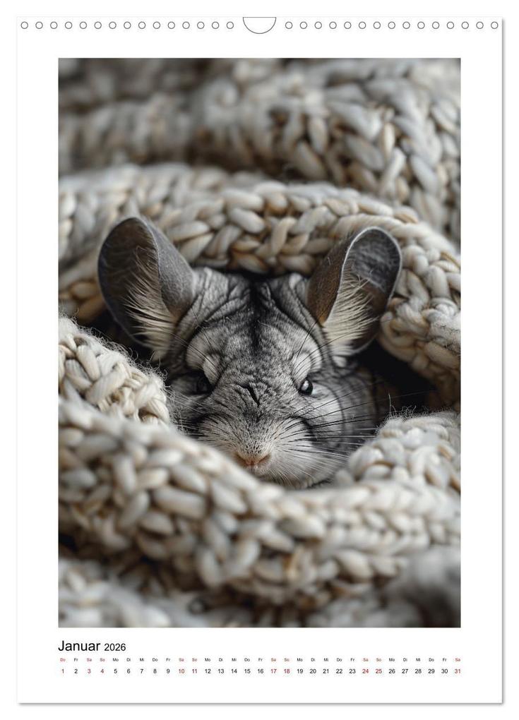 Weitere Ansicht: Knuddlige Chinchillas (Wandkalender 2026 DIN A3 hoch), CALVENDO Monatskalender | Kerstin Waurick, Calvendo