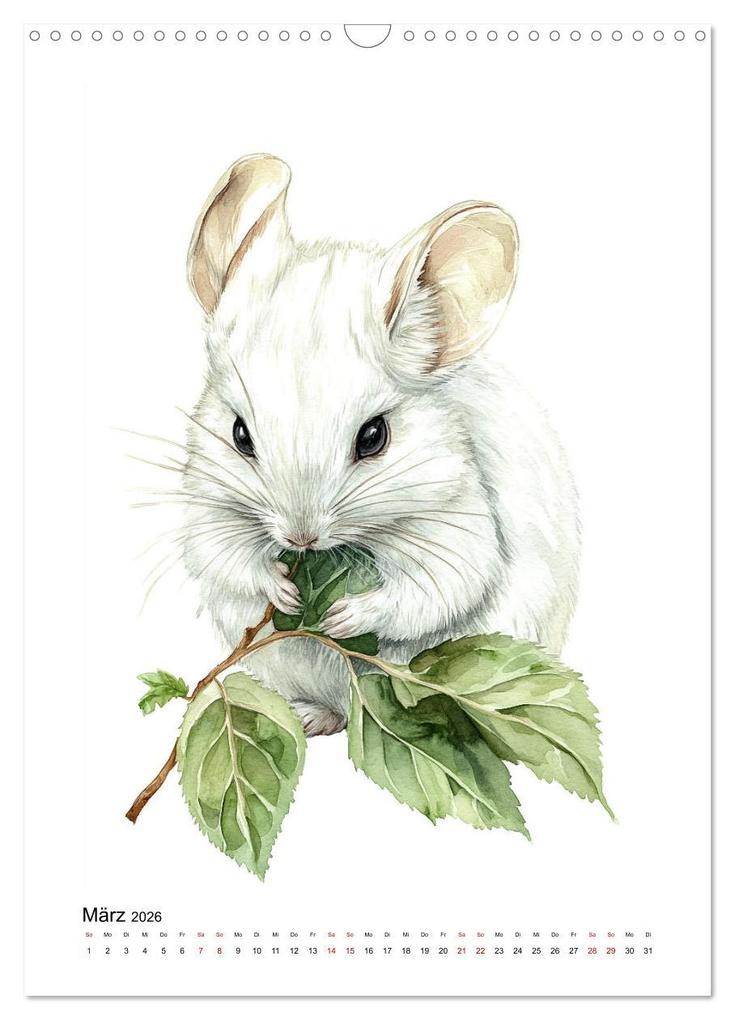 Weitere Ansicht: Knuddlige Chinchillas (Wandkalender 2026 DIN A3 hoch), CALVENDO Monatskalender | Kerstin Waurick, Calvendo