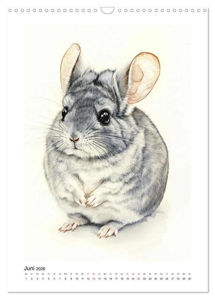 Weitere Ansicht: Knuddlige Chinchillas (Wandkalender 2026 DIN A3 hoch), CALVENDO Monatskalender | Kerstin Waurick, Calvendo