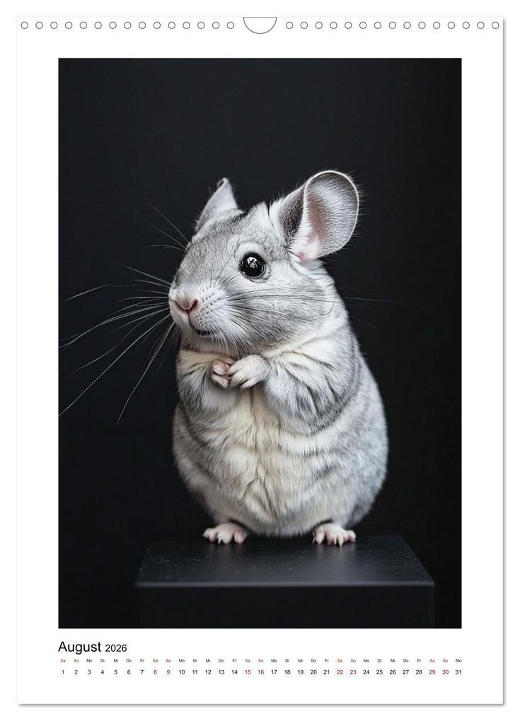 Weitere Ansicht: Knuddlige Chinchillas (Wandkalender 2026 DIN A3 hoch), CALVENDO Monatskalender | Kerstin Waurick, Calvendo
