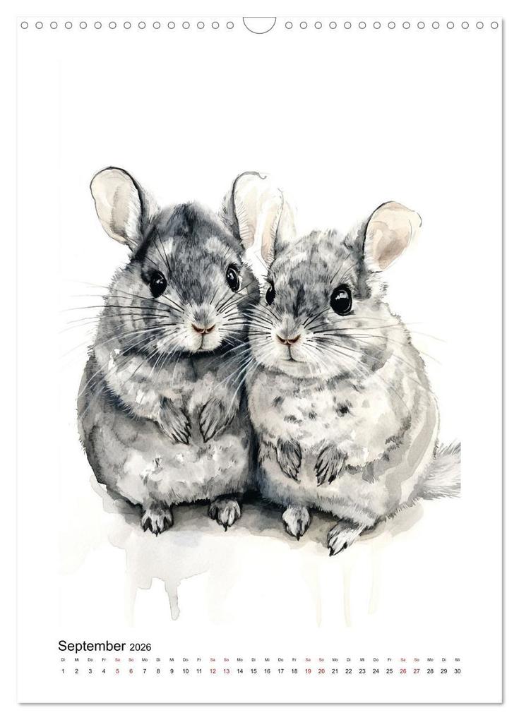 Weitere Ansicht: Knuddlige Chinchillas (Wandkalender 2026 DIN A3 hoch), CALVENDO Monatskalender | Kerstin Waurick, Calvendo