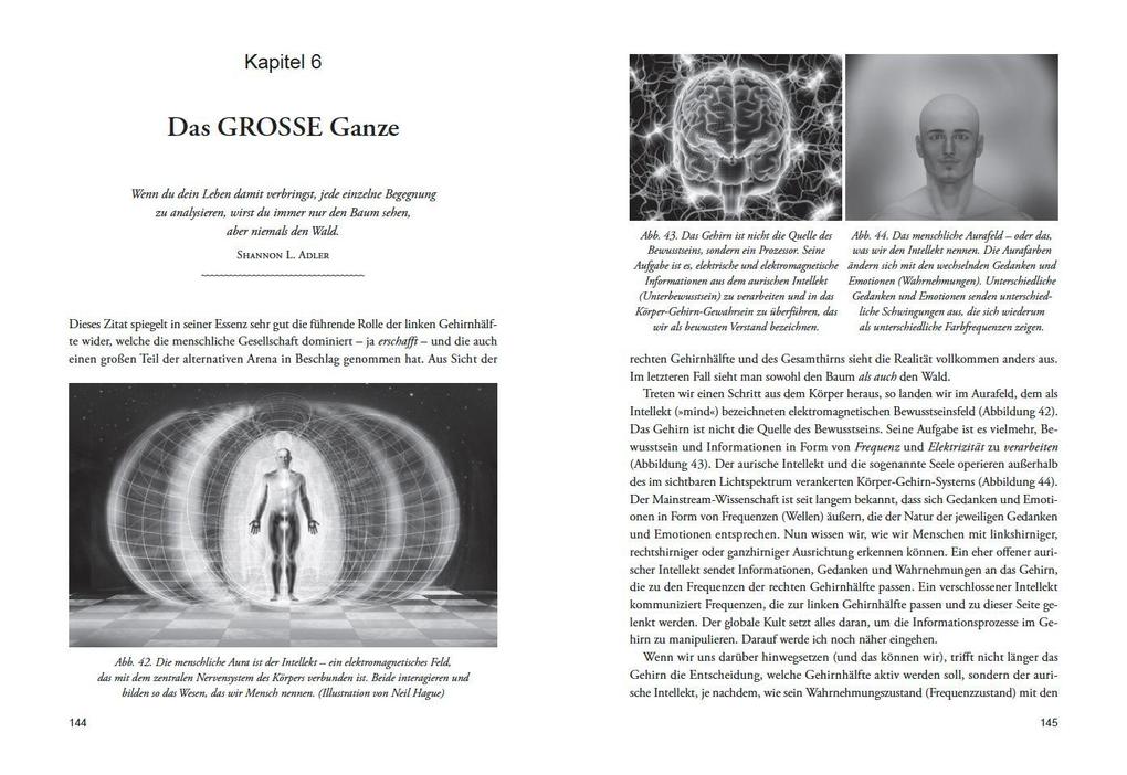 Weitere Ansicht: DIE ENTHÜLLUNG: Die nächste Stufe des menschlichen Bewusstseins | David Icke