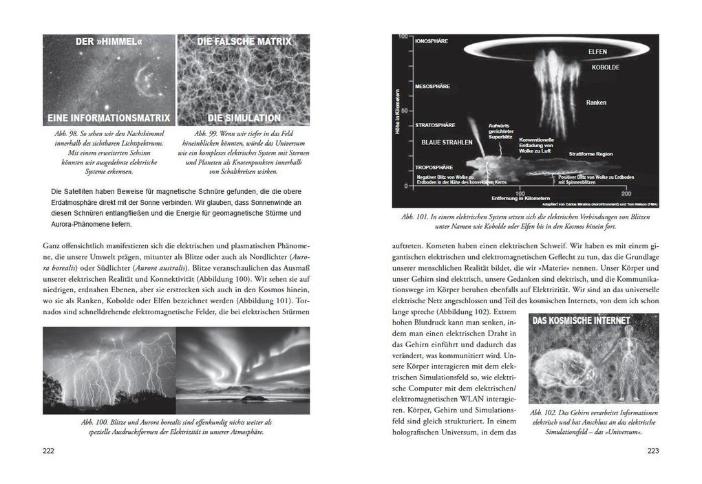 Weitere Ansicht: DIE ENTHÜLLUNG: Die nächste Stufe des menschlichen Bewusstseins | David Icke