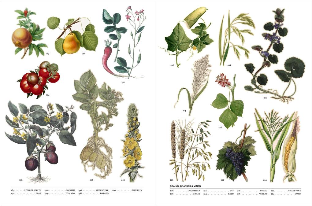 Weitere Ansicht: Flora | Hope Werness