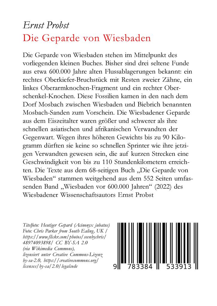 Weitere Ansicht: Die Geparde von Wiesbaden | Ernst Probst