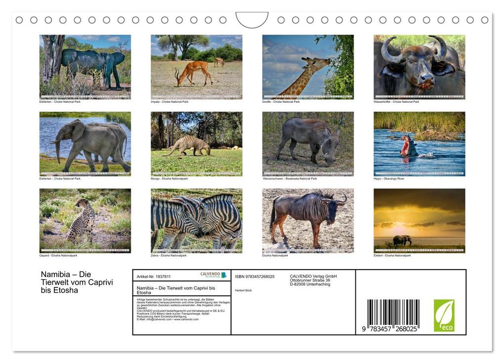 Weitere Ansicht: Namibia - Die Tierwelt vom Caprivi bis Etosha (Wandkalender 2026 DIN A4 quer), CALVENDO Monatskalender | Herbert Böck, Calvendo
