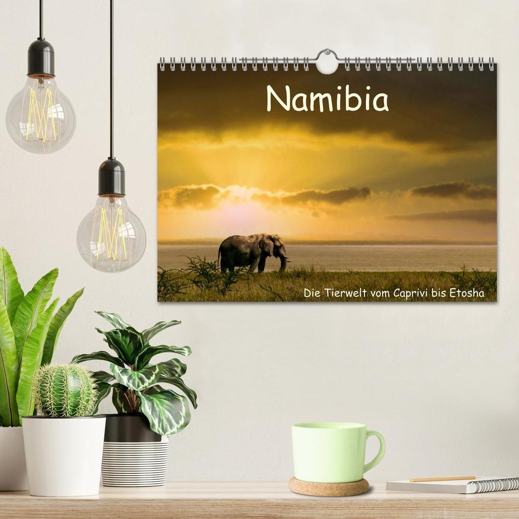 Weitere Ansicht: Namibia - Die Tierwelt vom Caprivi bis Etosha (Wandkalender 2026 DIN A4 quer), CALVENDO Monatskalender | Herbert Böck, Calvendo