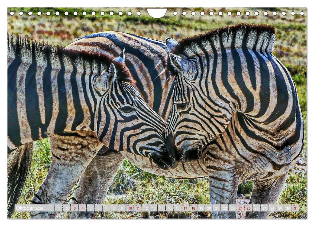 Weitere Ansicht: Namibia - Die Tierwelt vom Caprivi bis Etosha (Wandkalender 2026 DIN A4 quer), CALVENDO Monatskalender | Herbert Böck, Calvendo