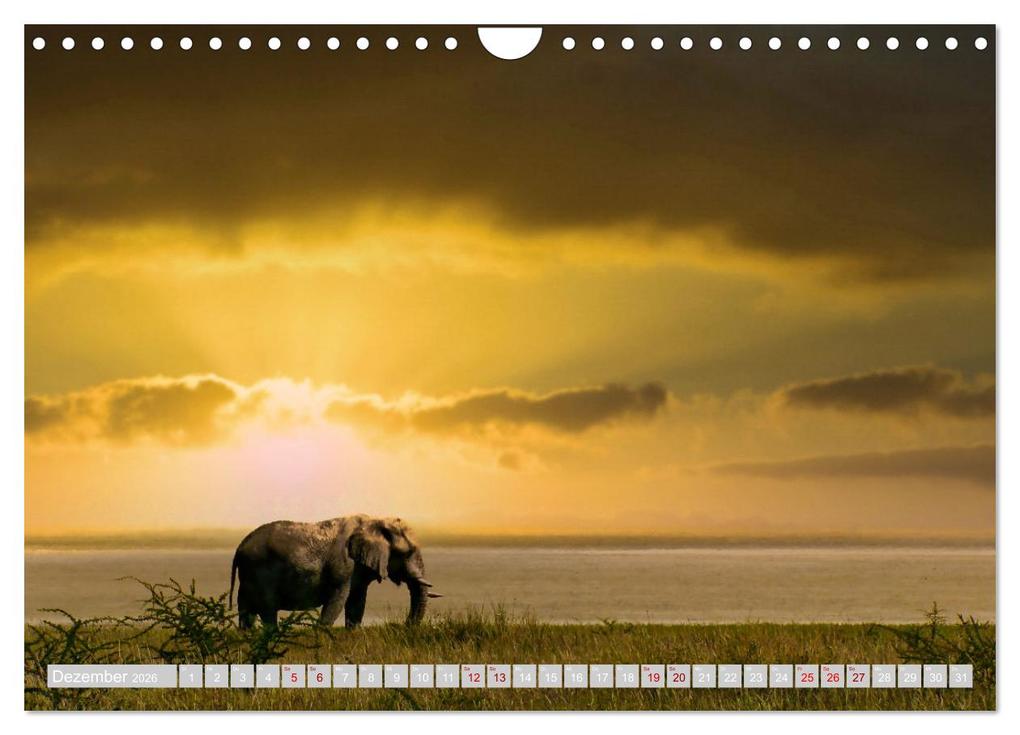 Weitere Ansicht: Namibia - Die Tierwelt vom Caprivi bis Etosha (Wandkalender 2026 DIN A4 quer), CALVENDO Monatskalender | Herbert Böck, Calvendo