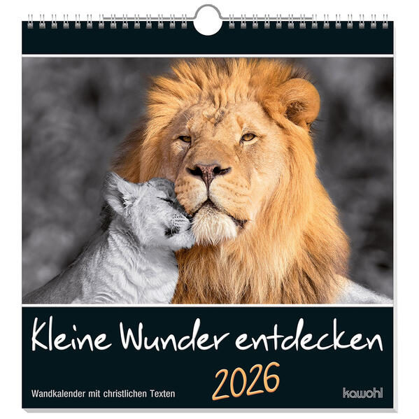 Produktbild: Kleine Wunder entdecken 2026
