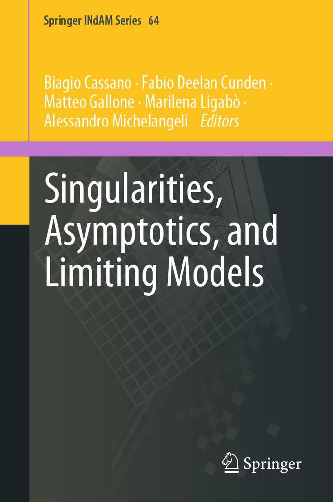 Produktbild: Singularities, Asymptotics, and Limiting Models