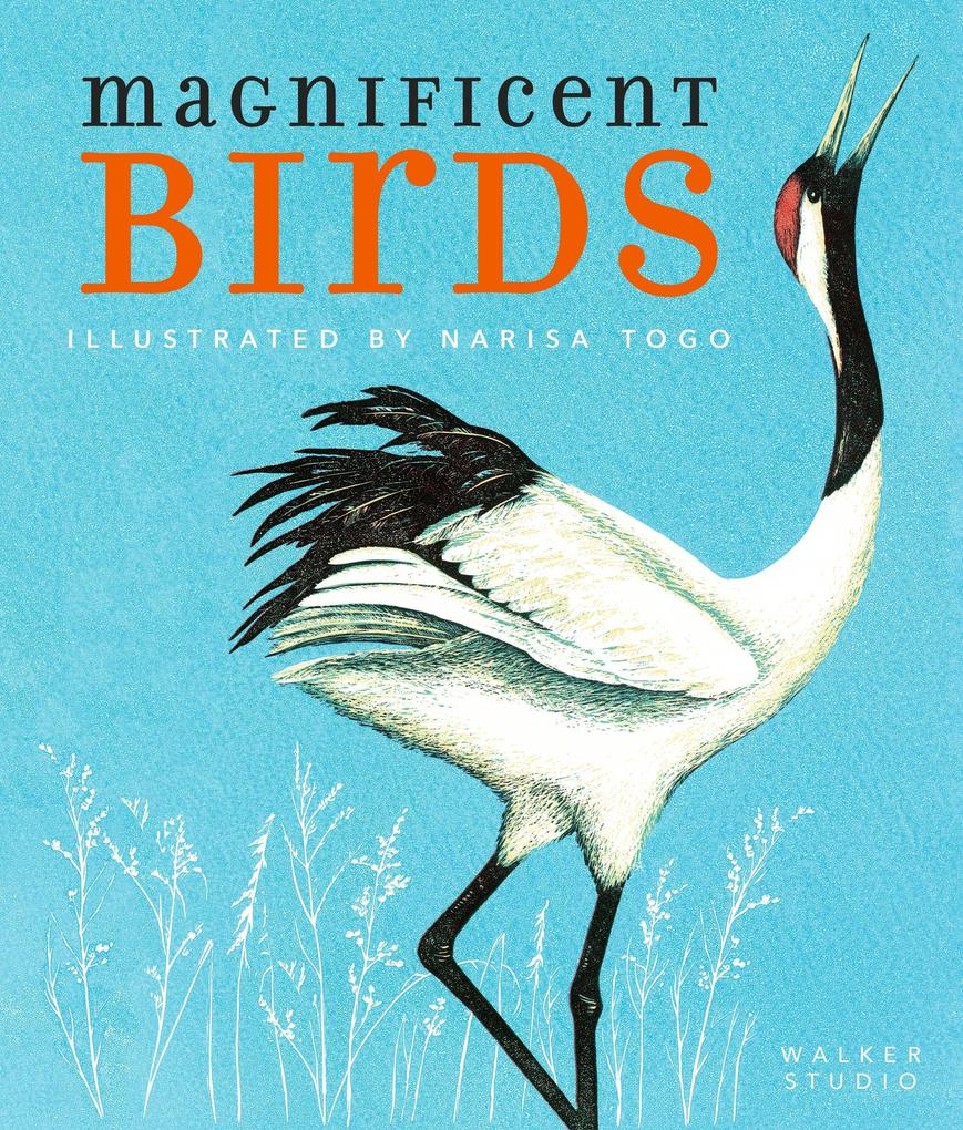 Produktbild: Magnificent Birds | Narisa Togo
