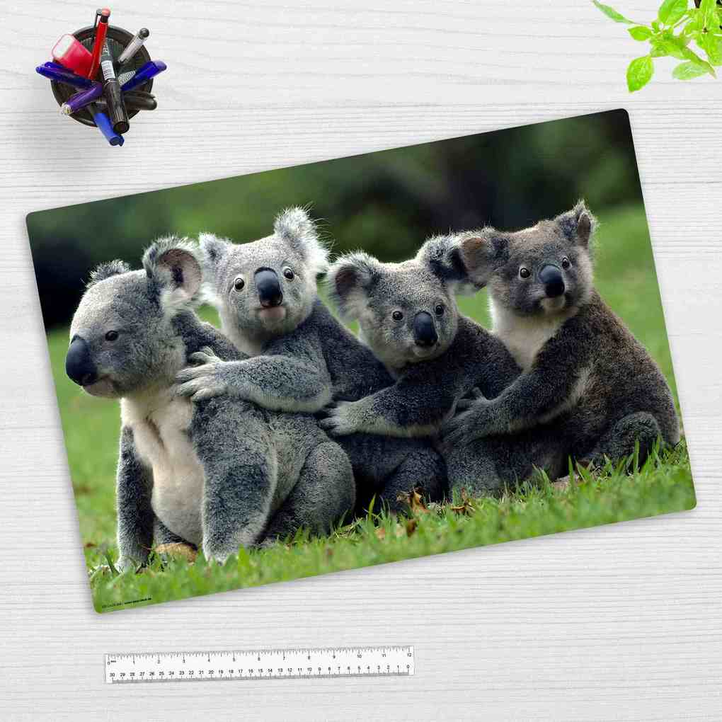 Produktbild: Cover-your-desk Schreibtischunterlage für Kinder Koala, aus hochwertigem Vinyl, 60 x 40 cm