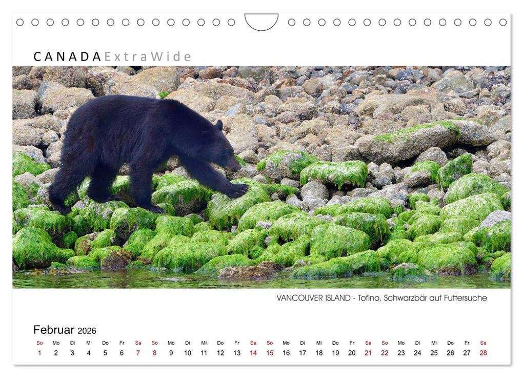 Weitere Ansicht: Vancouver Island Panoramabilder (Wandkalender 2026 DIN A4 quer), CALVENDO Monatskalender | Dieter-M. Wilczek, Calvendo