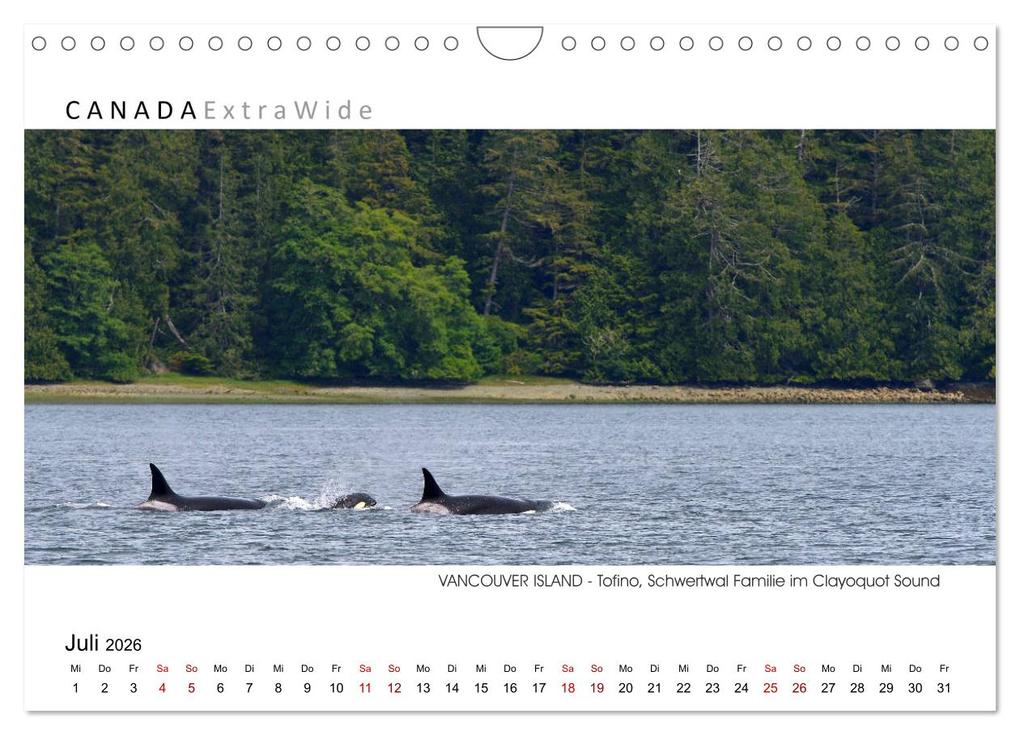 Weitere Ansicht: Vancouver Island Panoramabilder (Wandkalender 2026 DIN A4 quer), CALVENDO Monatskalender | Dieter-M. Wilczek, Calvendo