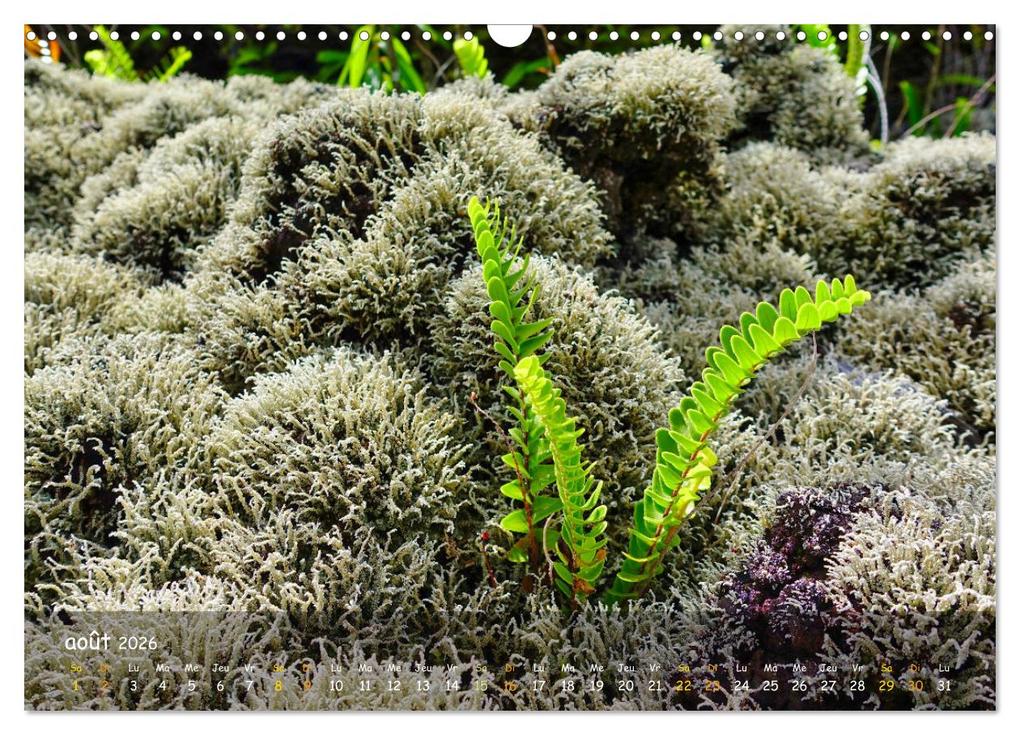 Weitere Ansicht: La Rèunion - Côtes fantastiques et paysage montagneux (Calendrier mural 2026 DIN A3 vertical), CALVENDO calendrier mensuel | Calvendo, Thomas Leimeister