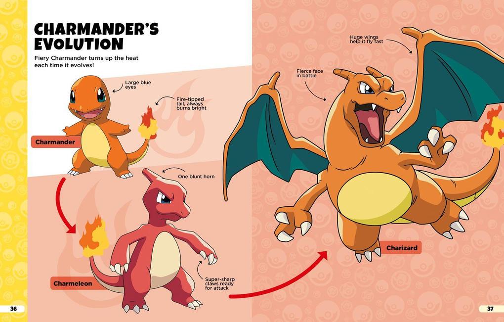 Weitere Ansicht: Pokemon: Evolutions Guide | Pokemon
