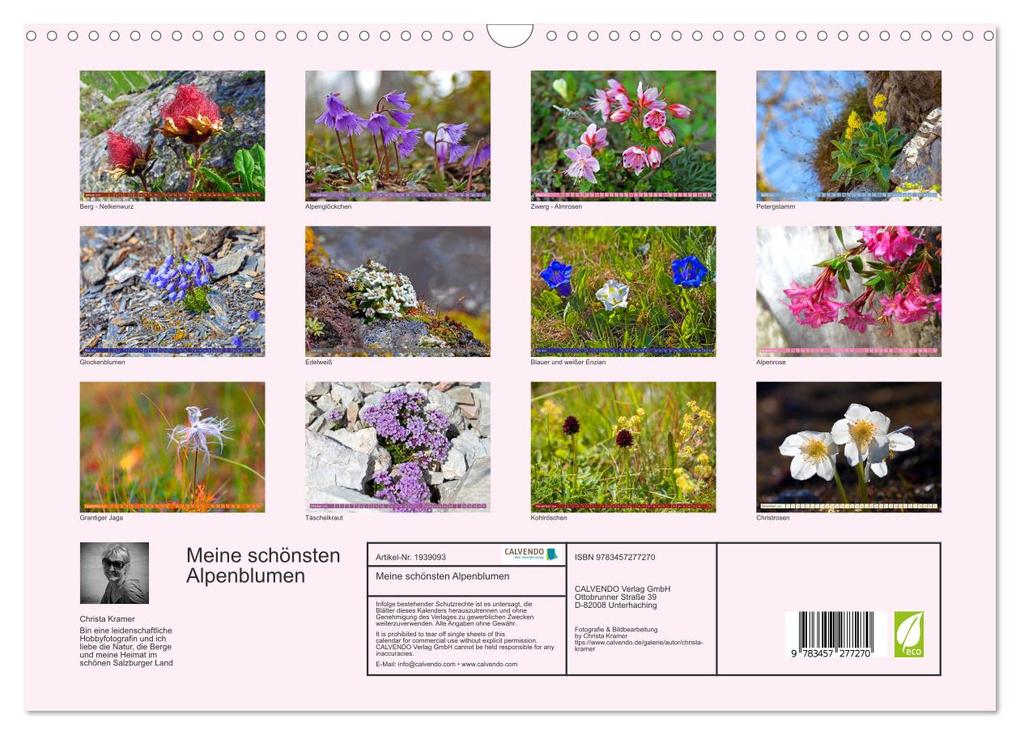 Weitere Ansicht: Meine schönsten Alpenblumen (Wandkalender 2026 DIN A3 quer), CALVENDO Monatskalender | Christa Kramer, Calvendo