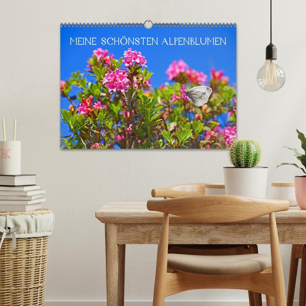 Weitere Ansicht: Meine schönsten Alpenblumen (Wandkalender 2026 DIN A3 quer), CALVENDO Monatskalender | Christa Kramer, Calvendo