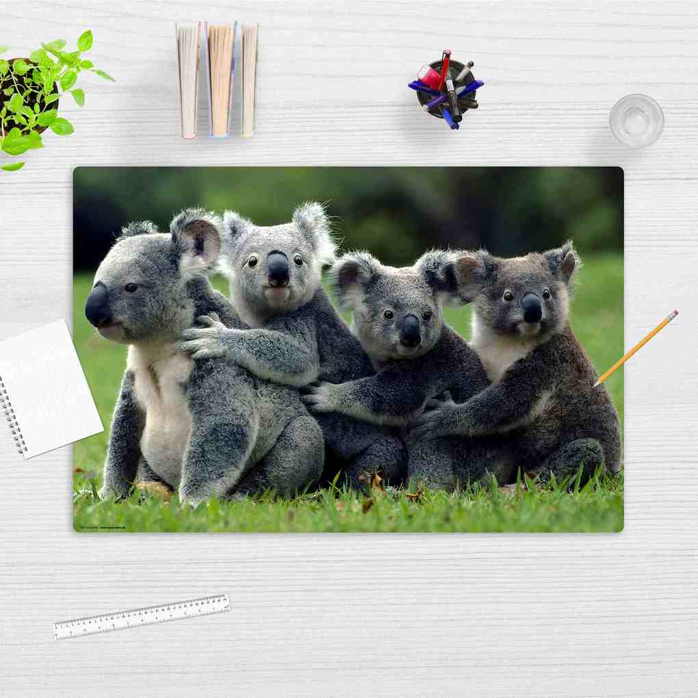 Weitere Ansicht: Cover-your-desk Schreibtischunterlage für Kinder Koala, aus hochwertigem Vinyl, 60 x 40 cm