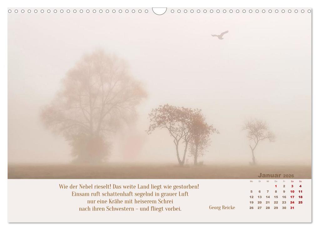 Weitere Ansicht: Nebelfarben. Ein poetischer Spaziergang (Wandkalender 2026 DIN A3 quer), CALVENDO Monatskalender | Calvendo