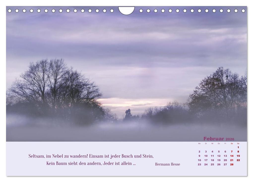 Weitere Ansicht: Nebelfarben. Ein poetischer Spaziergang (Wandkalender 2026 DIN A4 quer), CALVENDO Monatskalender | Calvendo