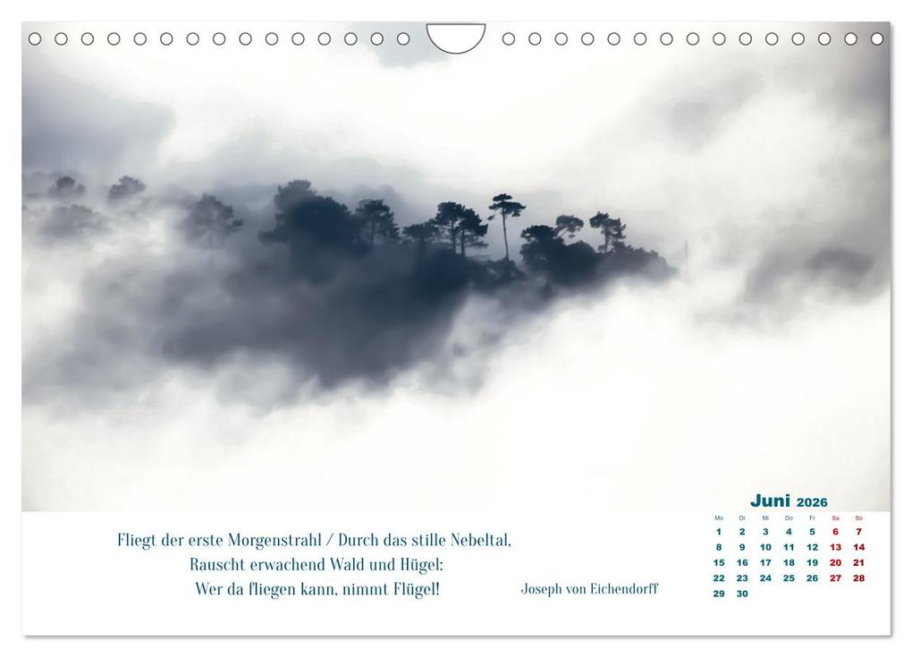 Weitere Ansicht: Nebelfarben. Ein poetischer Spaziergang (Wandkalender 2026 DIN A4 quer), CALVENDO Monatskalender | Calvendo