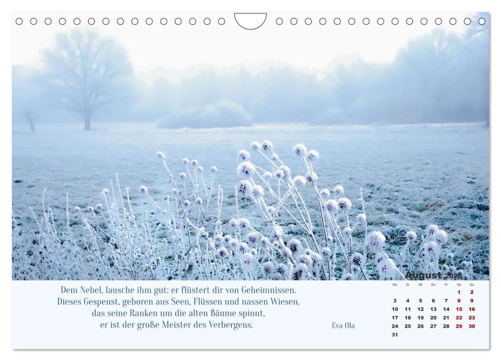 Weitere Ansicht: Nebelfarben. Ein poetischer Spaziergang (Wandkalender 2026 DIN A4 quer), CALVENDO Monatskalender | Calvendo