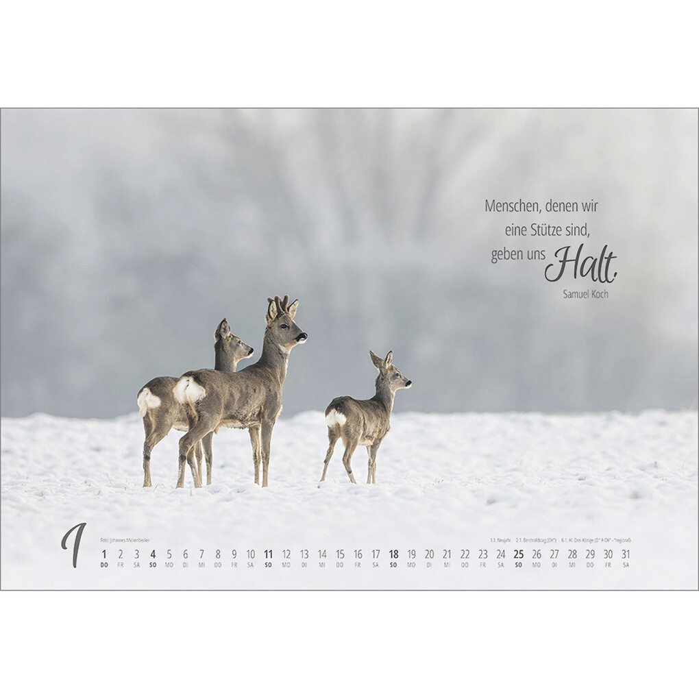 Weitere Ansicht: Real Wildlife 2026