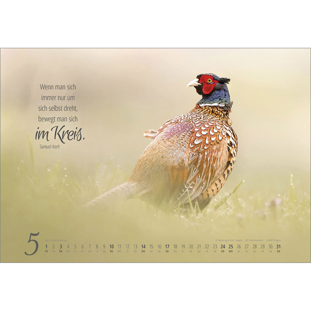 Weitere Ansicht: Real Wildlife 2026
