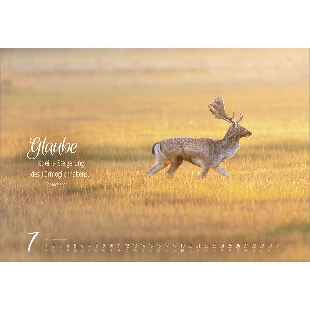 Weitere Ansicht: Real Wildlife 2026