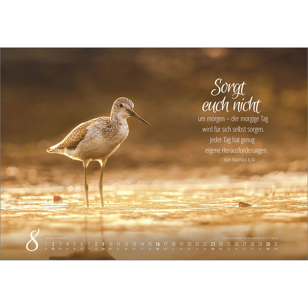 Weitere Ansicht: Real Wildlife 2026