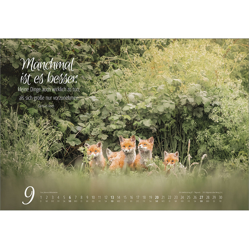 Weitere Ansicht: Real Wildlife 2026