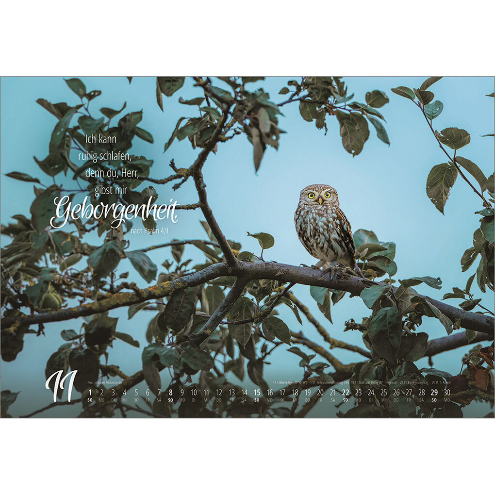 Weitere Ansicht: Real Wildlife 2026