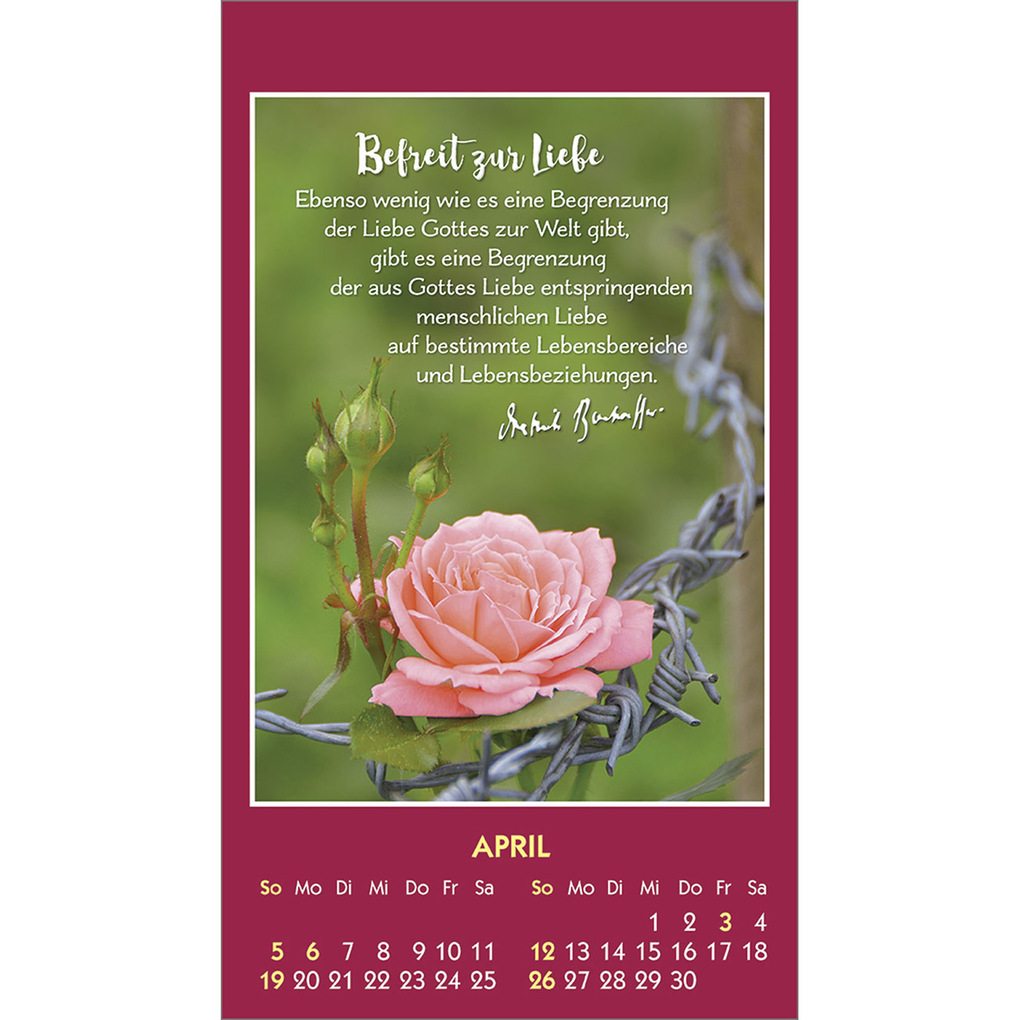 Weitere Ansicht: Gott ist bei dir 2026 | Dietrich Bonhoeffer