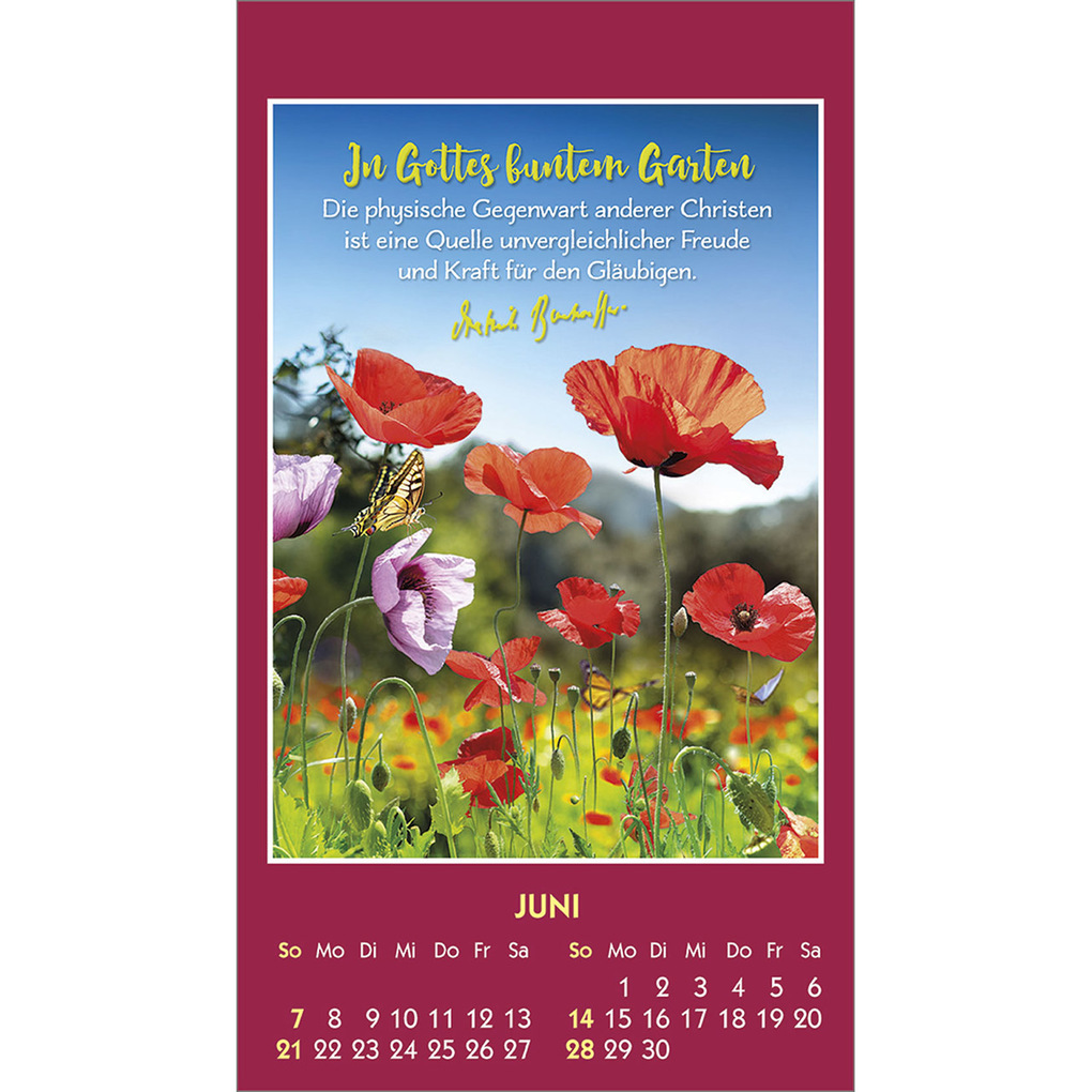 Weitere Ansicht: Gott ist bei dir 2026 | Dietrich Bonhoeffer