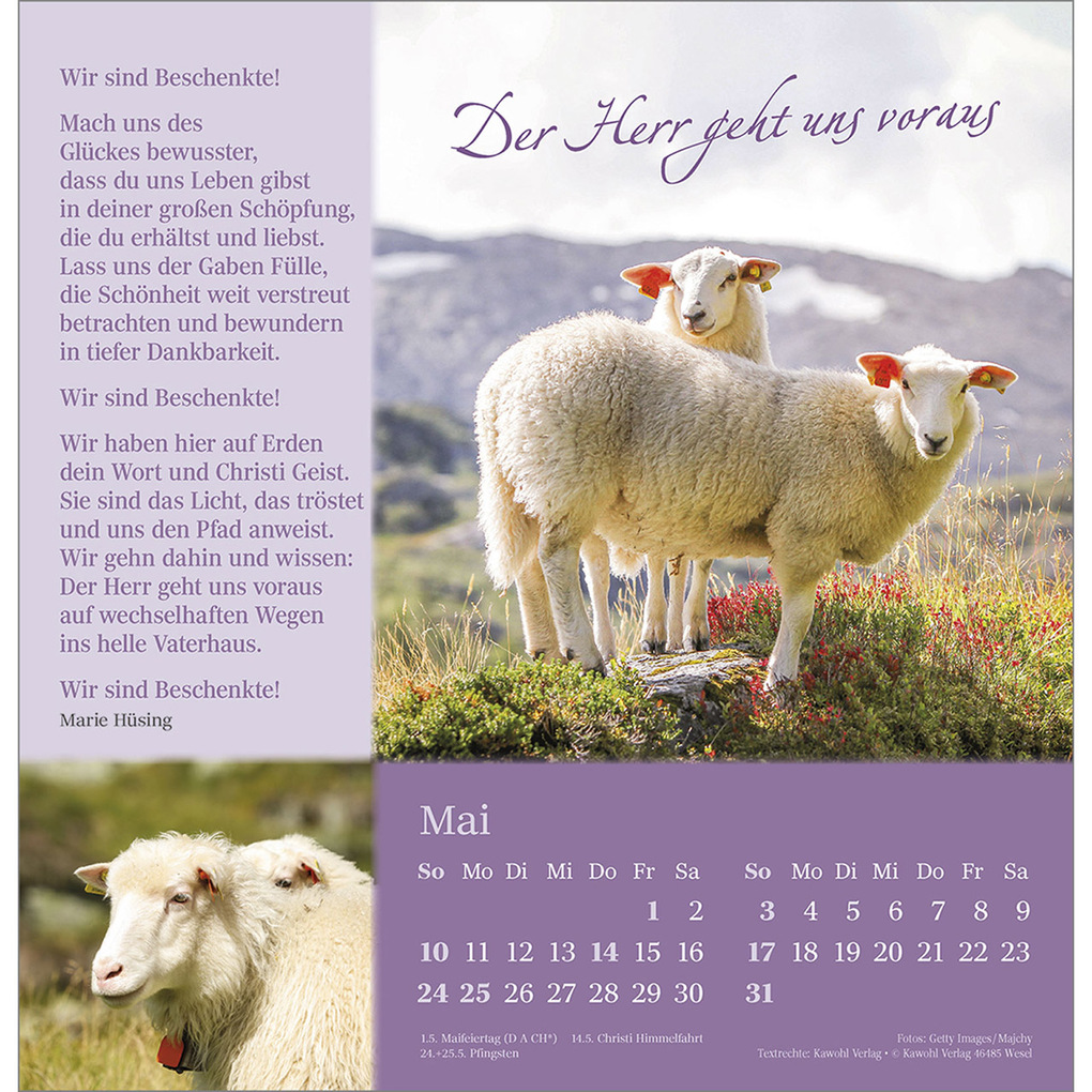 Weitere Ansicht: Sei behütet auf allen Wegen 2026