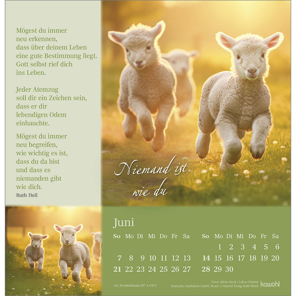 Weitere Ansicht: Sei behütet auf allen Wegen 2026