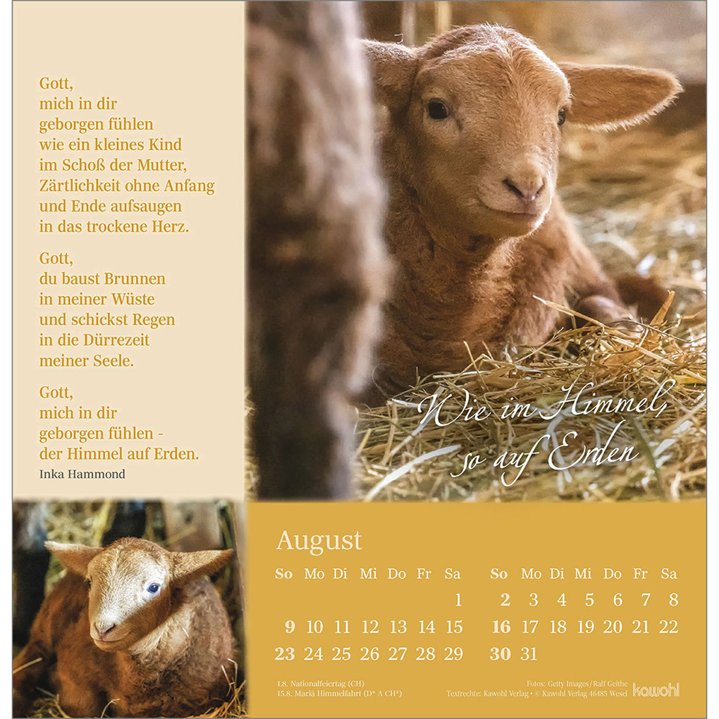 Weitere Ansicht: Sei behütet auf allen Wegen 2026