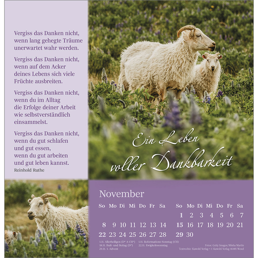 Weitere Ansicht: Sei behütet auf allen Wegen 2026