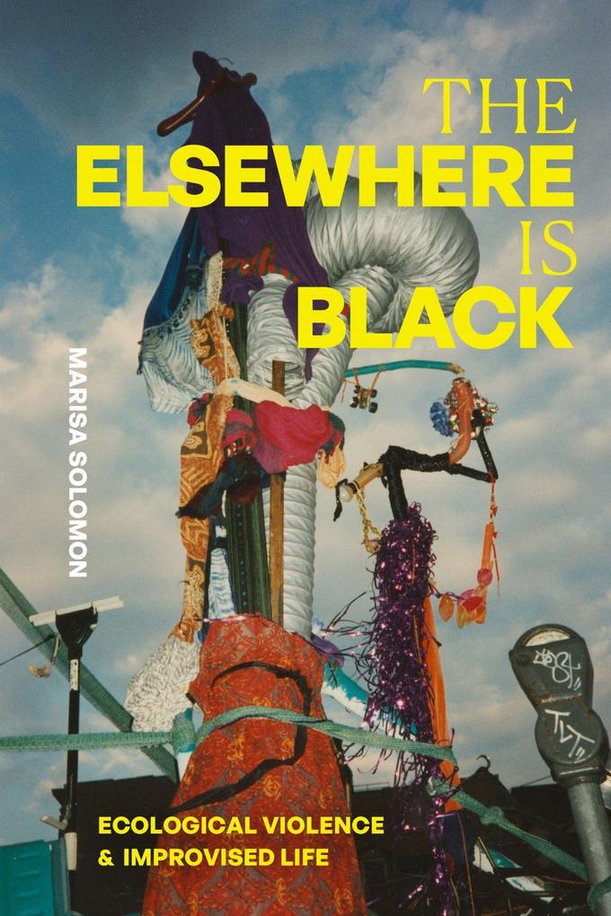 Produktbild: The Elsewhere Is Black | Marisa Solomon