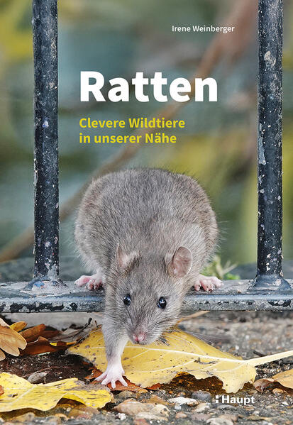 Produktbild: Ratten | Irene Weinberger
