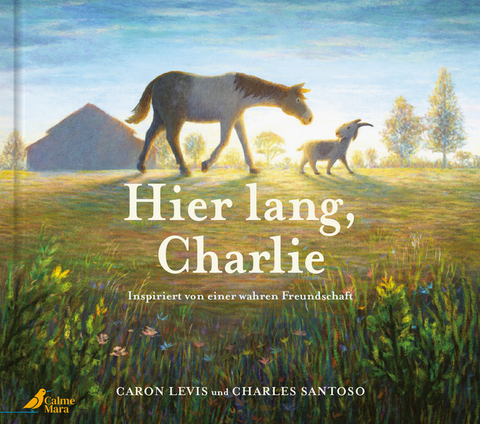 Produktbild: Hier lang, Charlie | Caron Levis