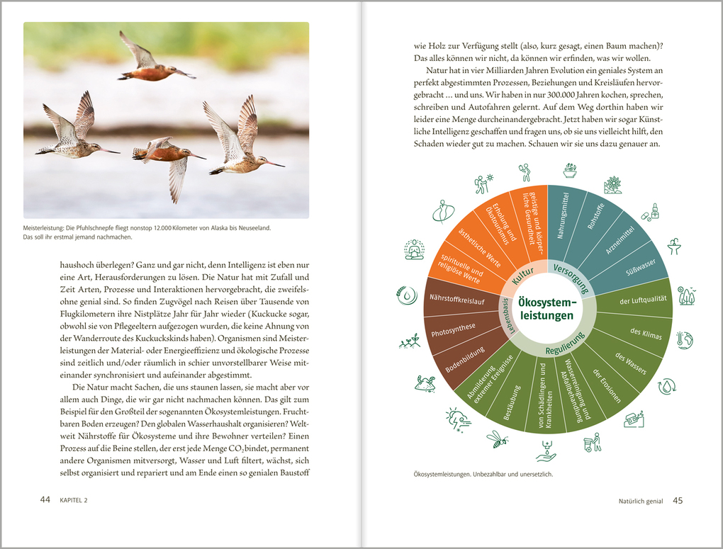Weitere Ansicht: Kann KI die Natur retten? | Frauke Fischer, Hilke Oberhansberg