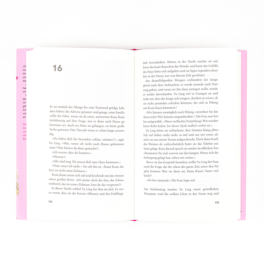 Weitere Ansicht: Schwanentage | Zhang Yueran