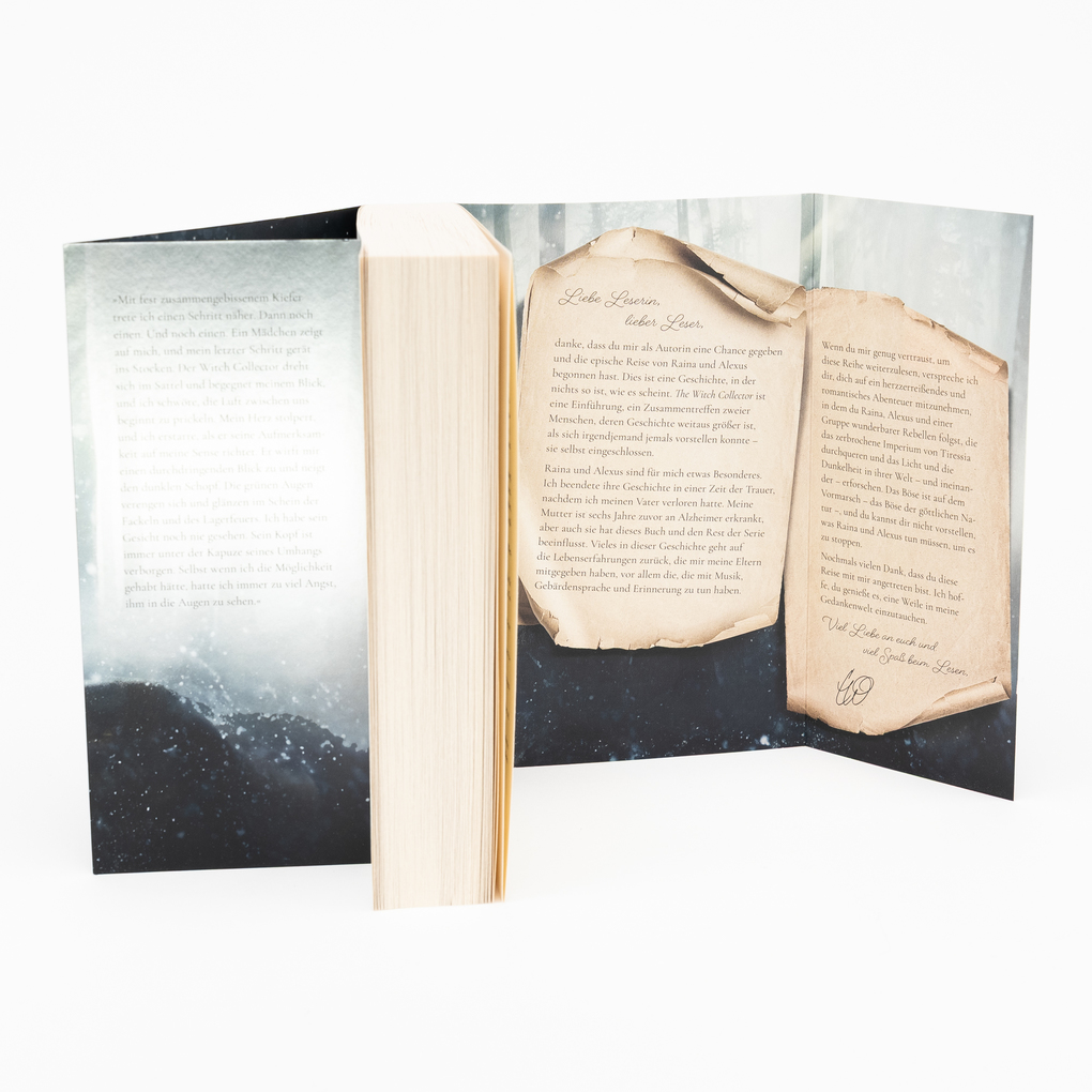 Weitere Ansicht: The Witch Collector | Charissa Weaks