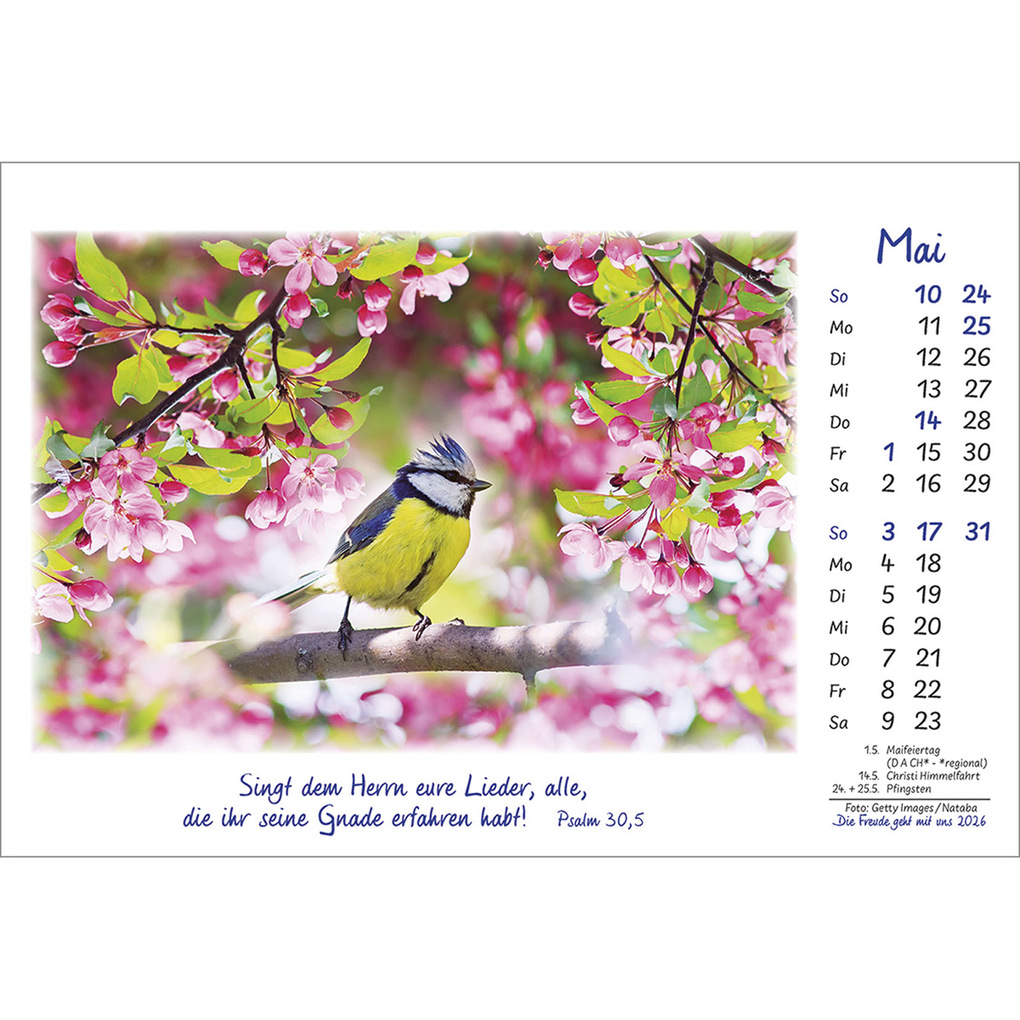 Weitere Ansicht: Die Freude geht mit uns 2026