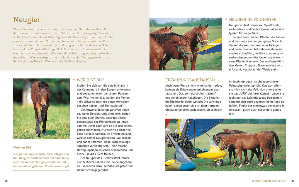 Weitere Ansicht: Pferde verstehen, erziehen und reiten | Silke Behling, Sibylle Luise Binder, Anja Schriever