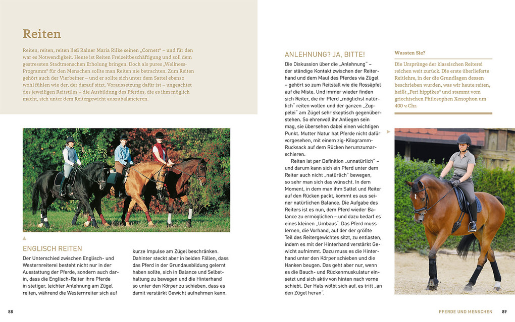 Weitere Ansicht: Pferde verstehen, erziehen und reiten | Silke Behling, Sibylle Luise Binder, Anja Schriever